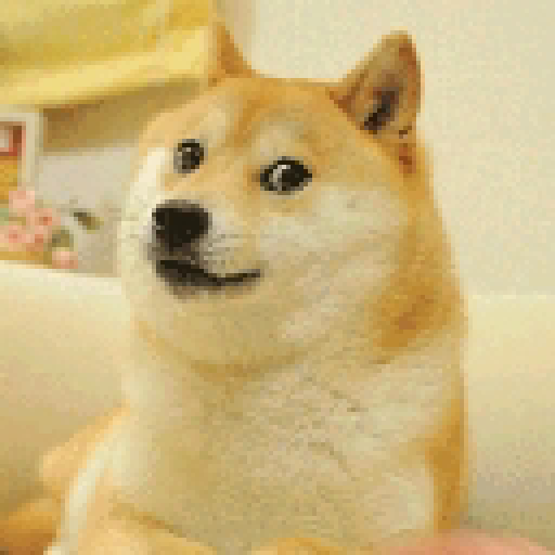 Image de profile de Doge